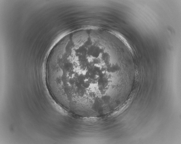 X0000116000859200912031507