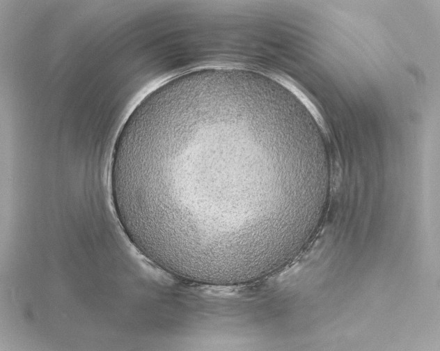 X0000116000861200912031507