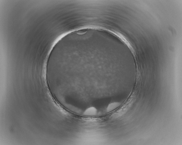 X0000116000862200912031507