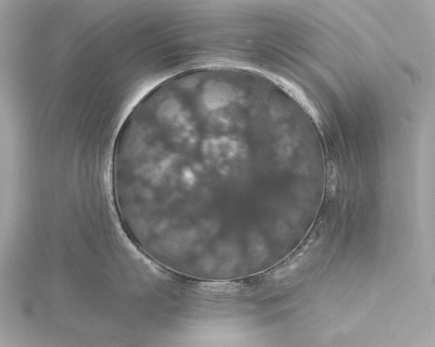 X0000116000863200912031507