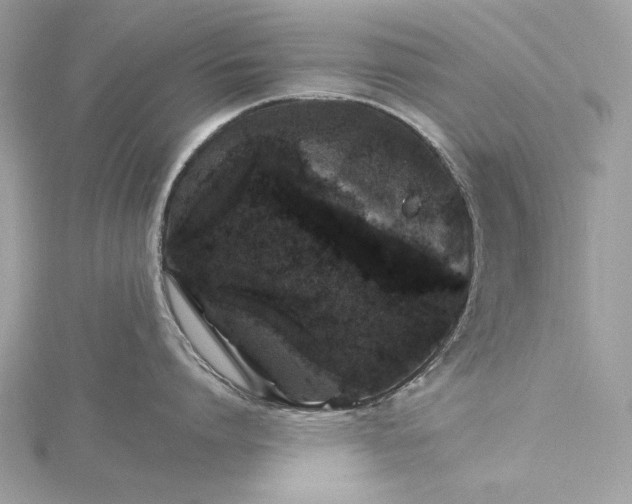 X0000116000864200912031507