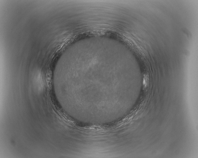 X0000116000867200912031507