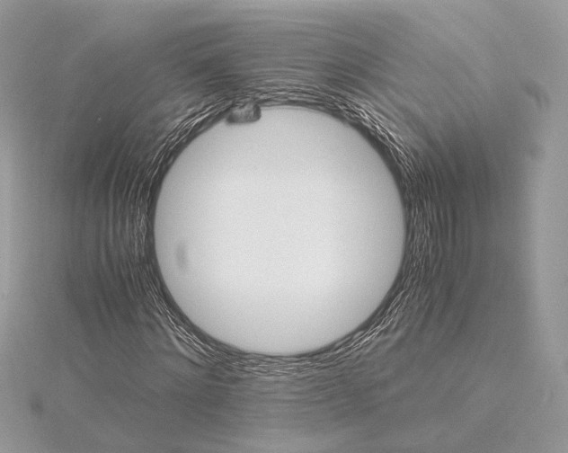 X0000116000868200912031507