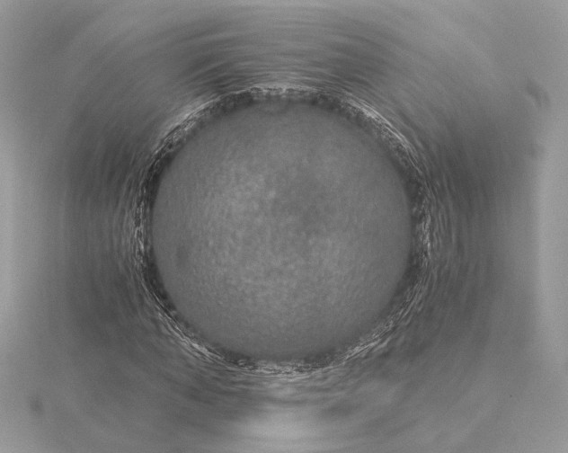 X0000116000870200912031507