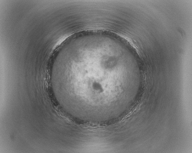 X0000116000871200912031507