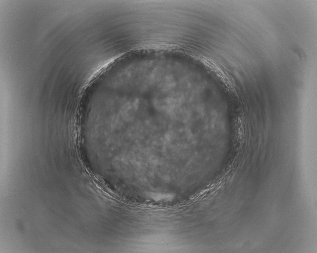 X0000116000872200912031507