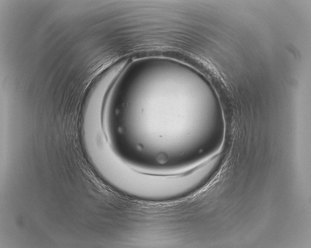 X0000116000873200912031507