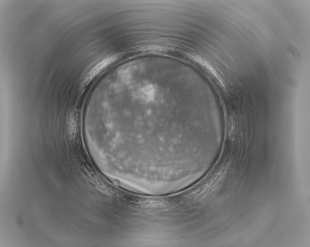 X0000116000874200912031507