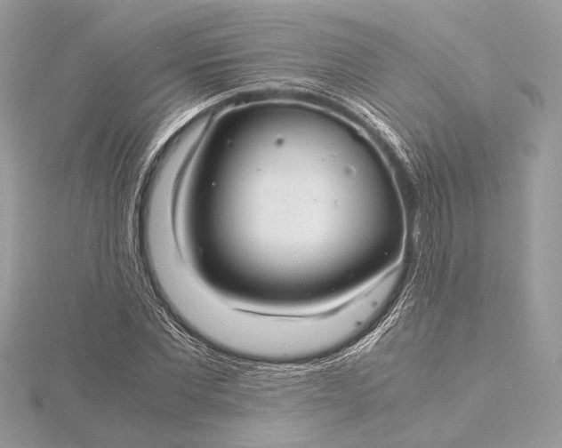 X0000116000877200912031507