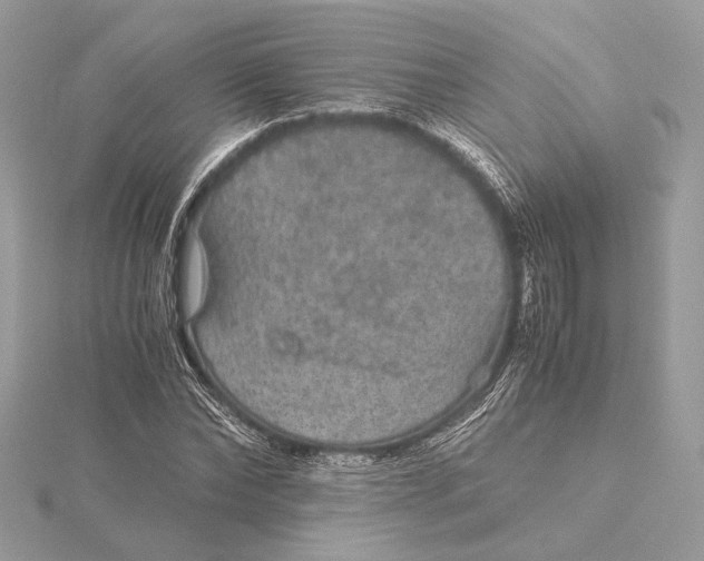 X0000116000878200912031507