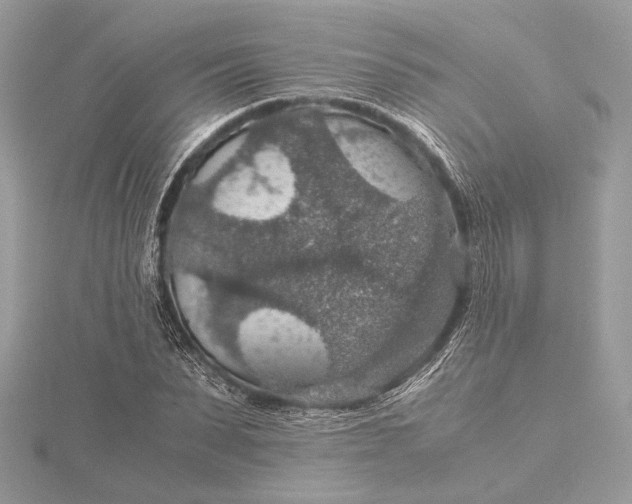 X0000116000879200912031507