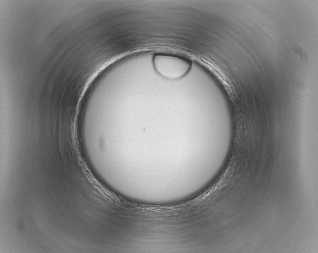 X0000116000880200912031507