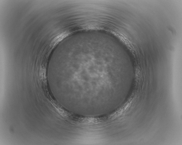 X0000116000881200912031507