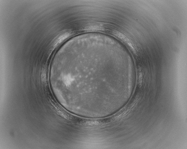 X0000116000882200912031507