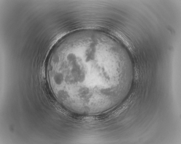 X0000116000883200912031507