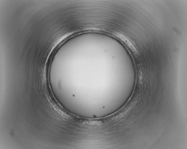 X0000116000884200912031506