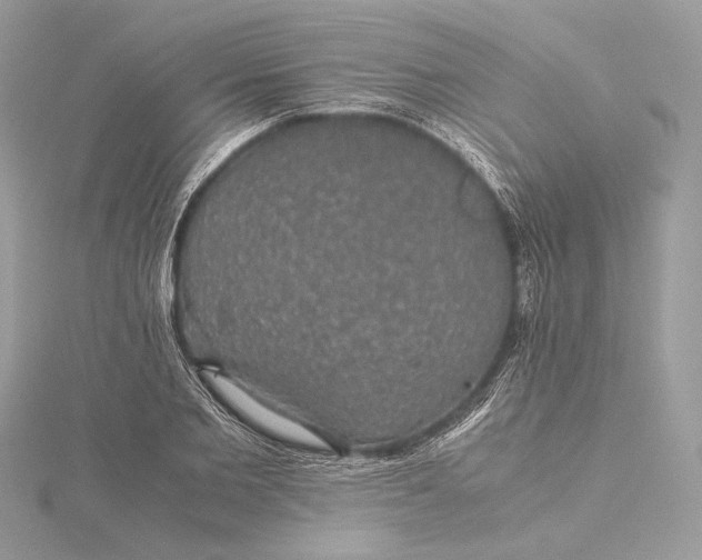 X0000116000885200912031506