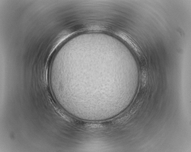 X0000116000886200912031506