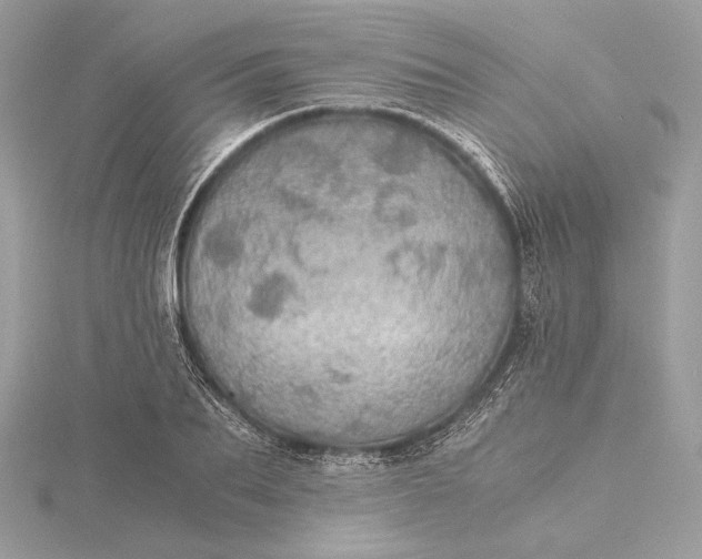 X0000116000887200912031506