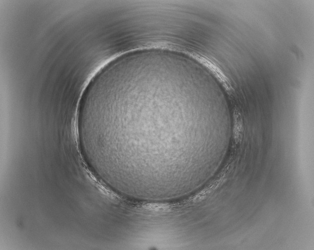 X0000116000888200912031506