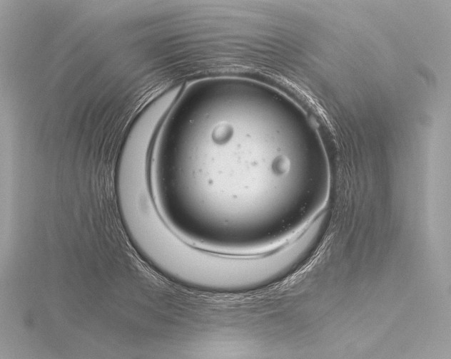 X0000116000889200912031506