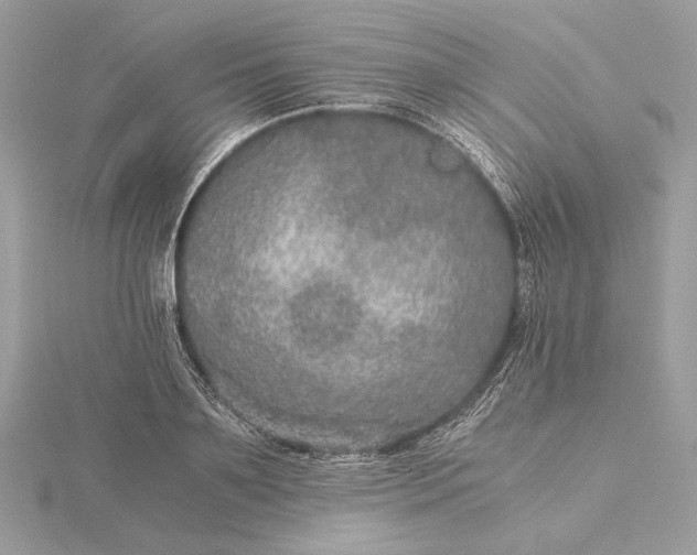 X0000116000891200912031506