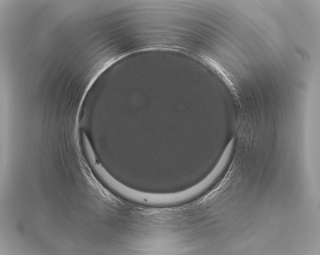 X0000116000892200912031506