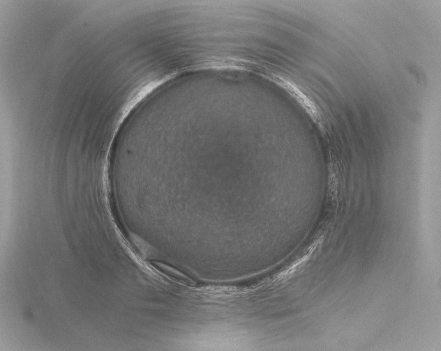 X0000116000893200912031506