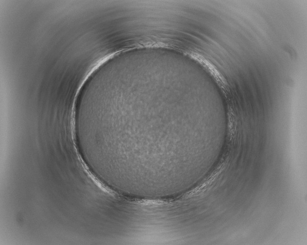 X0000116000894200912031506