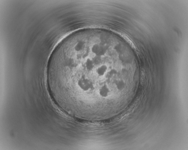 X0000116000895200912031506