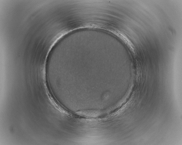 X0000116000896200912031506