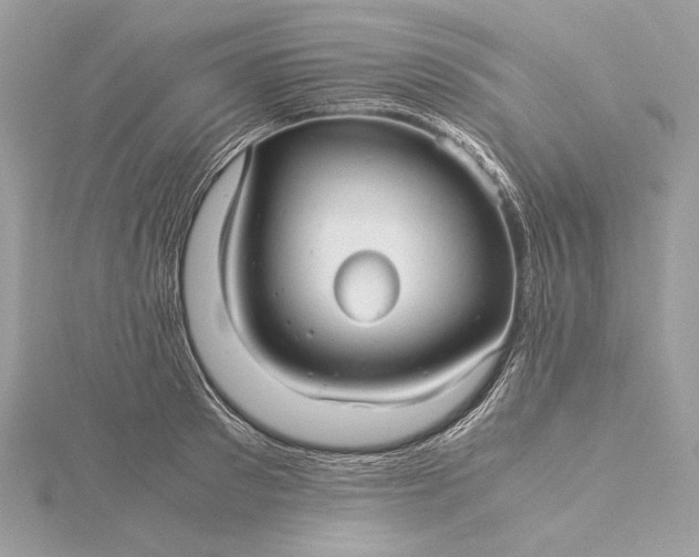 X0000116000897200912031506