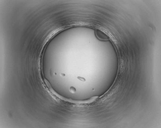 X0000116000898200912031506