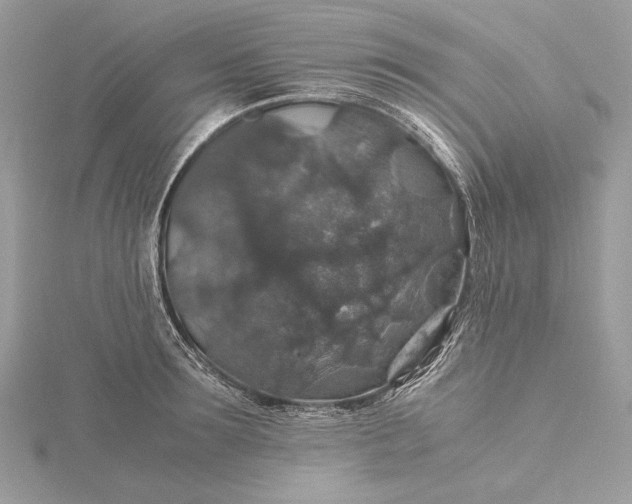 X0000116000899200912031506