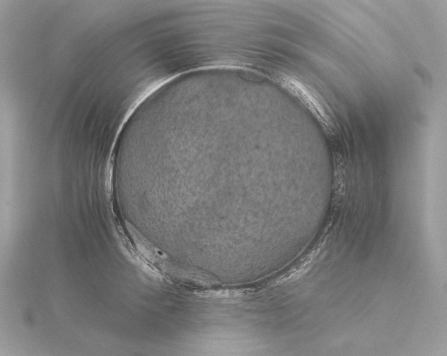 X0000116000900200912031506