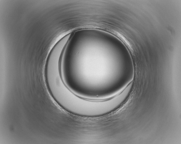 X0000116000901200912031506