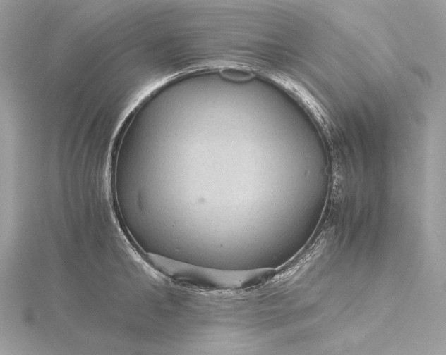 X0000116000902200912031506