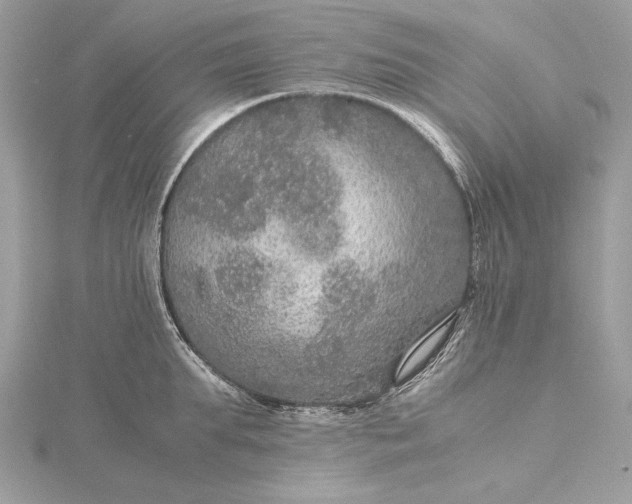 X0000116000903200912031506