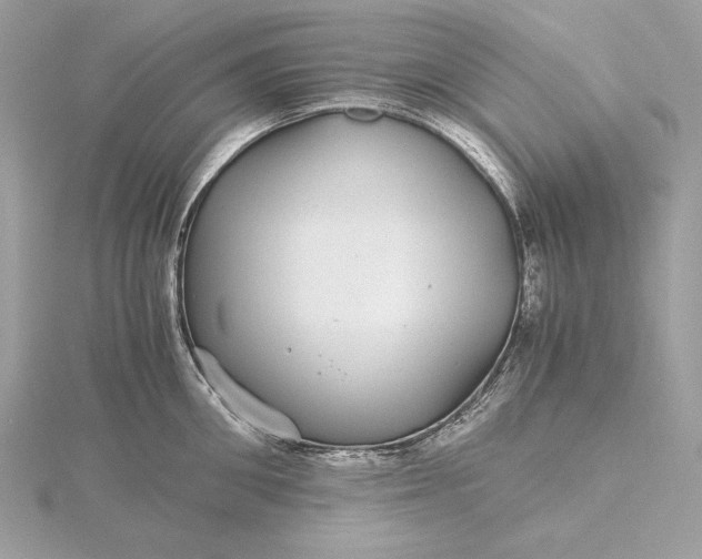 X0000116000906200912031506