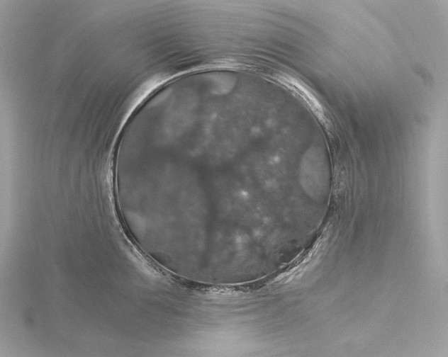 X0000116000907200912031506