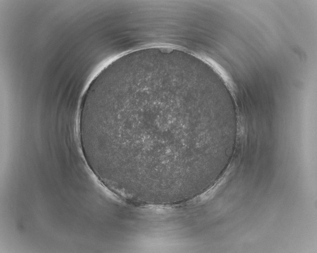 X0000116000910200912031506