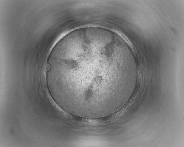 X0000116000911200912031506