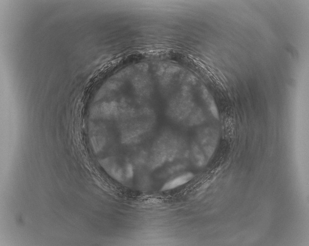 X0000116000913200912031505