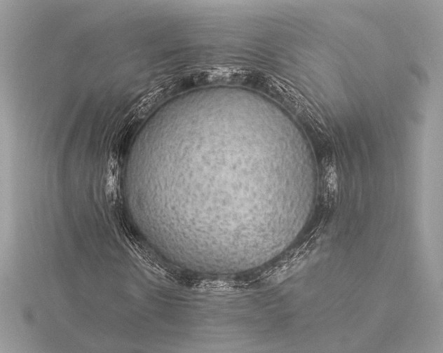 X0000116000914200912031505