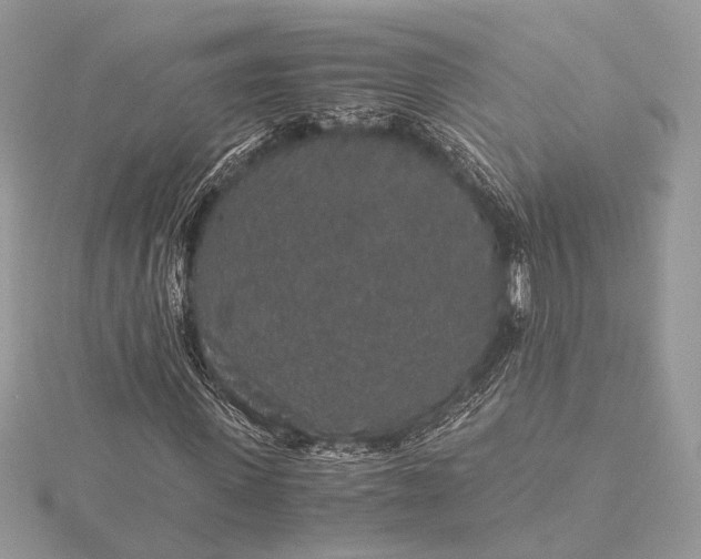 X0000116000915200912031505