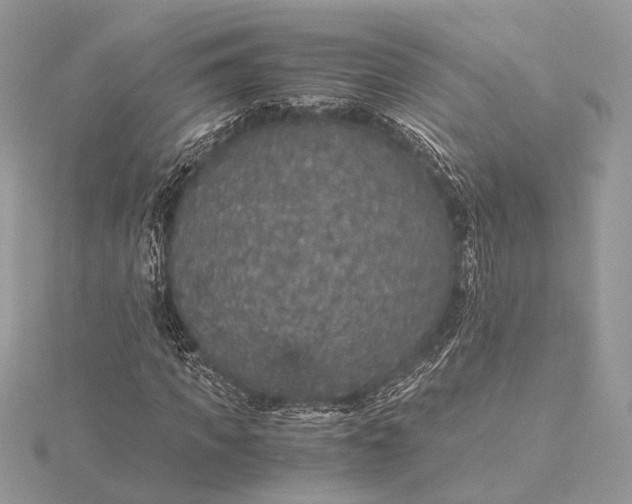 X0000116000917200912031505