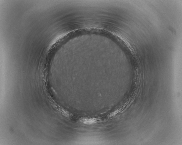 X0000116000919200912031505