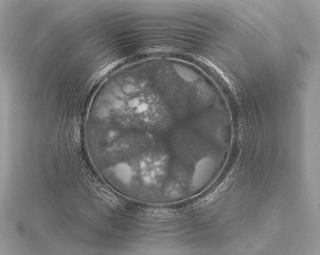 X0000116000921200912031505