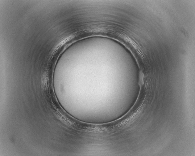 X0000116000922200912031505