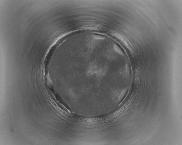 X0000116000923200912031505